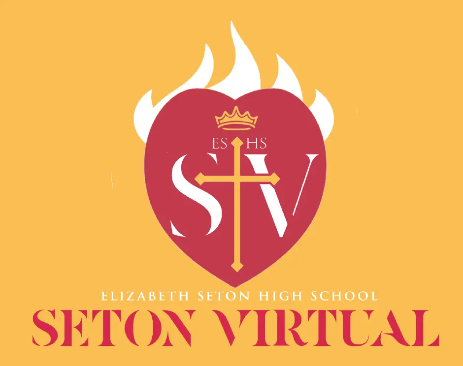 OptimizedImage,,,Optimized