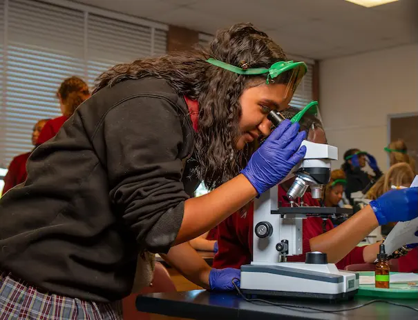  OptimizedImage,,,Optimized