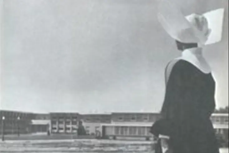  OptimizedImage,,,Optimized